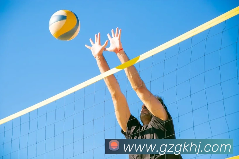 beat365网页版入口发展历程